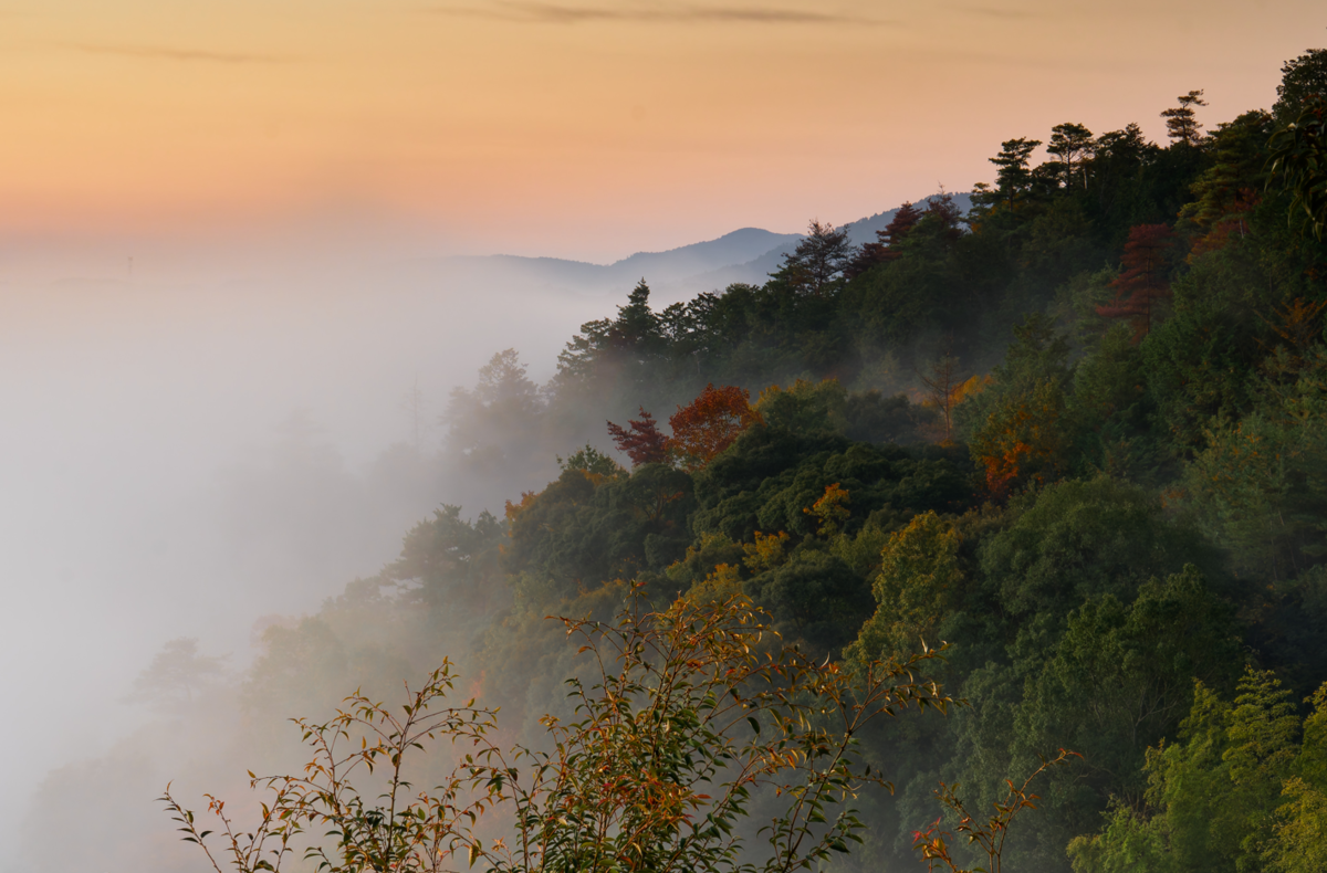 🍁絶景独り占め!亀岡・千手寺の雲海&紅葉🍁