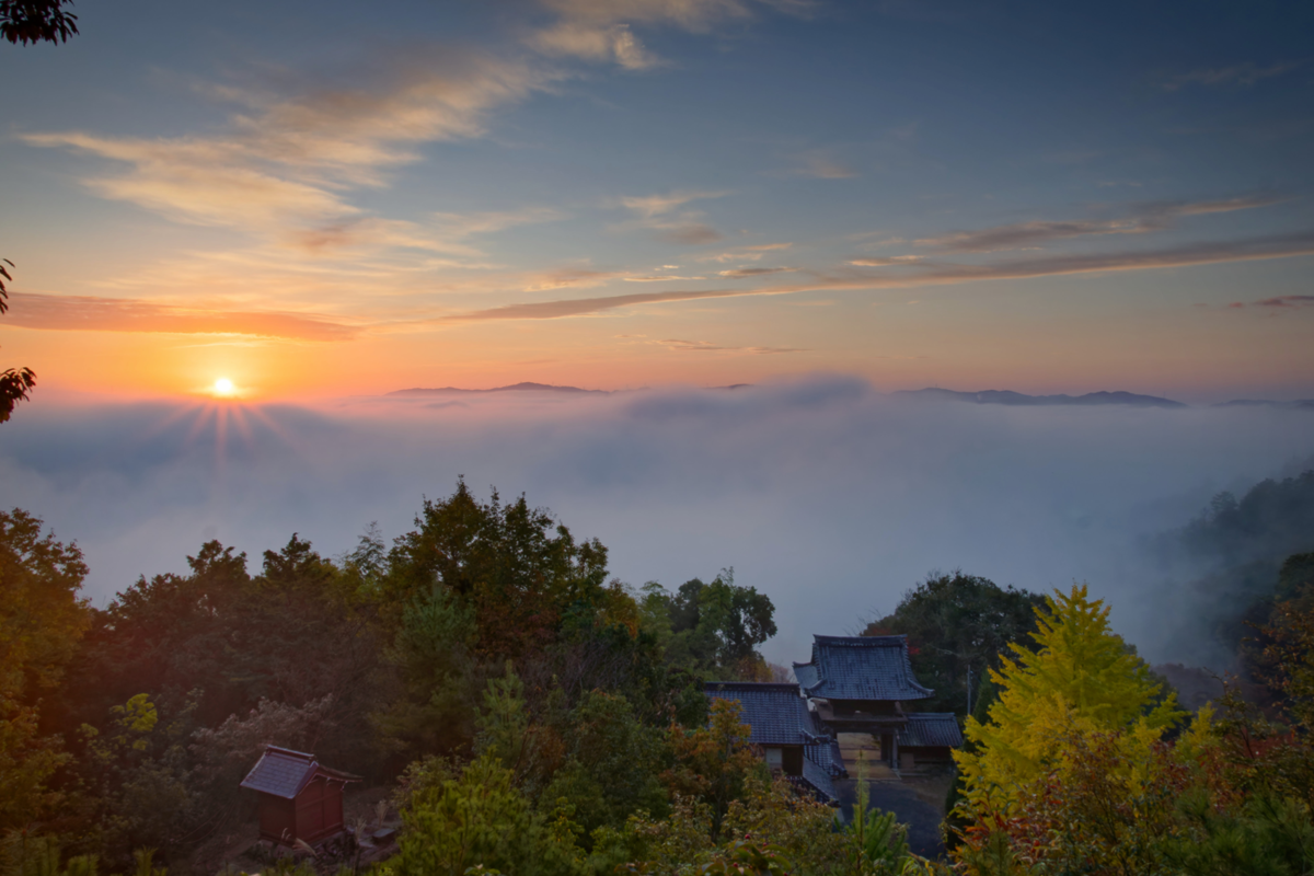 🍁絶景独り占め!亀岡・千手寺の雲海&紅葉🍁