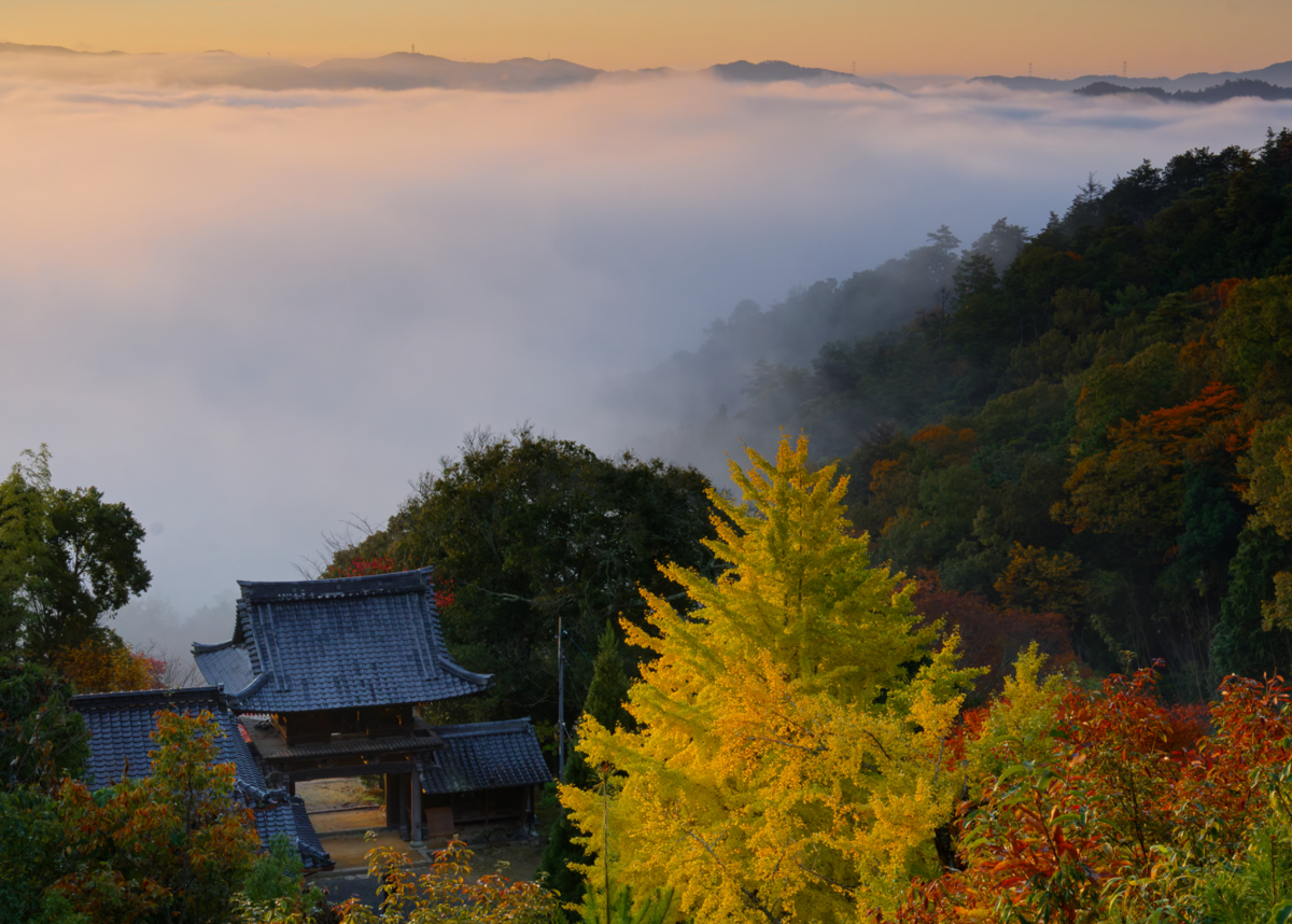 🍁絶景独り占め!亀岡・千手寺の雲海&紅葉🍁