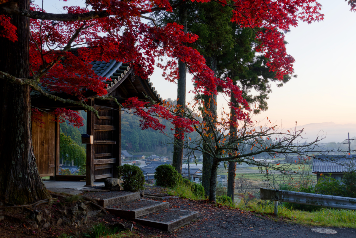🍁 龍穏寺から嵐山へ!幻想的な霧と紅葉のグラデーションを満喫