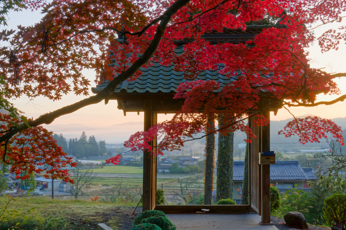 🍁 龍穏寺から嵐山へ!幻想的な霧と紅葉のグラデーションを満喫