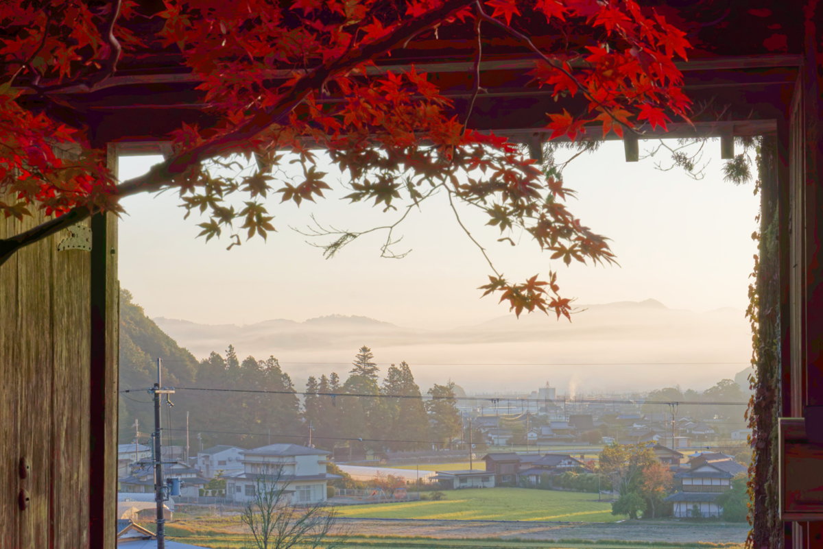 🍁 龍穏寺から嵐山へ!幻想的な霧と紅葉のグラデーションを満喫