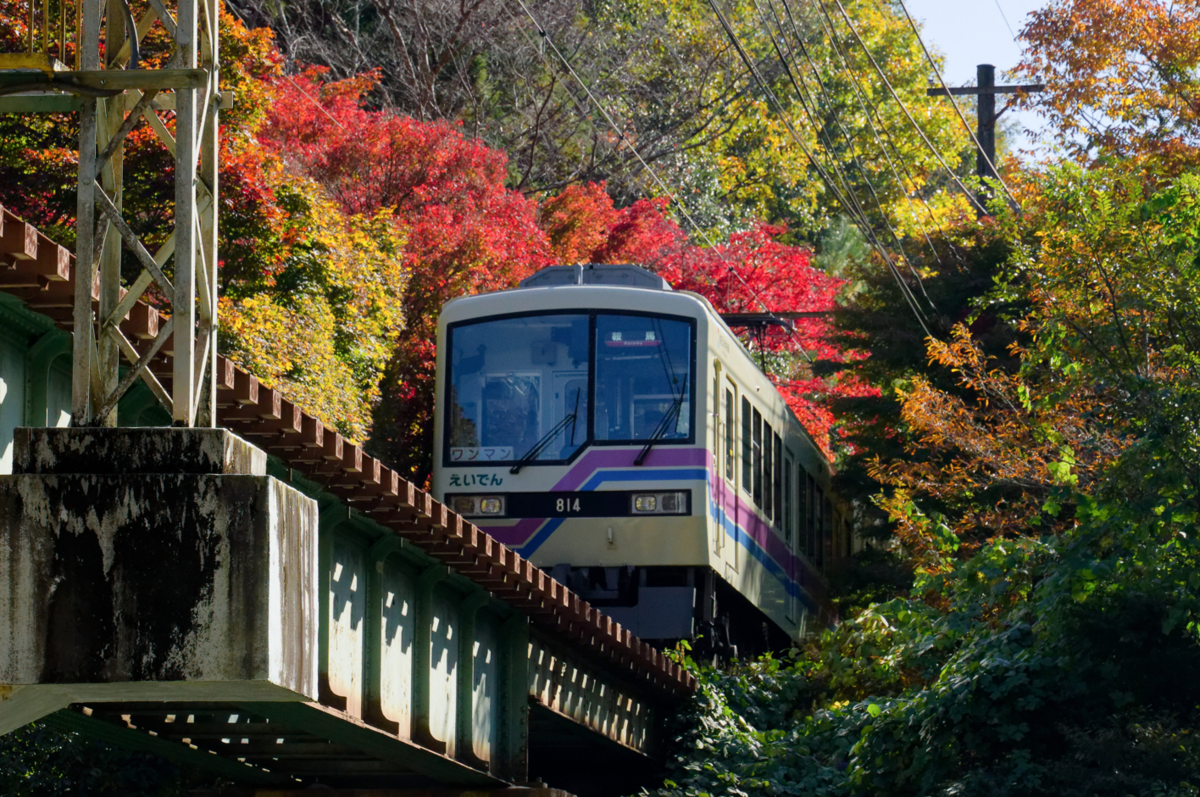 🍁 龍穏寺から嵐山へ!幻想的な霧と紅葉のグラデーションを満喫