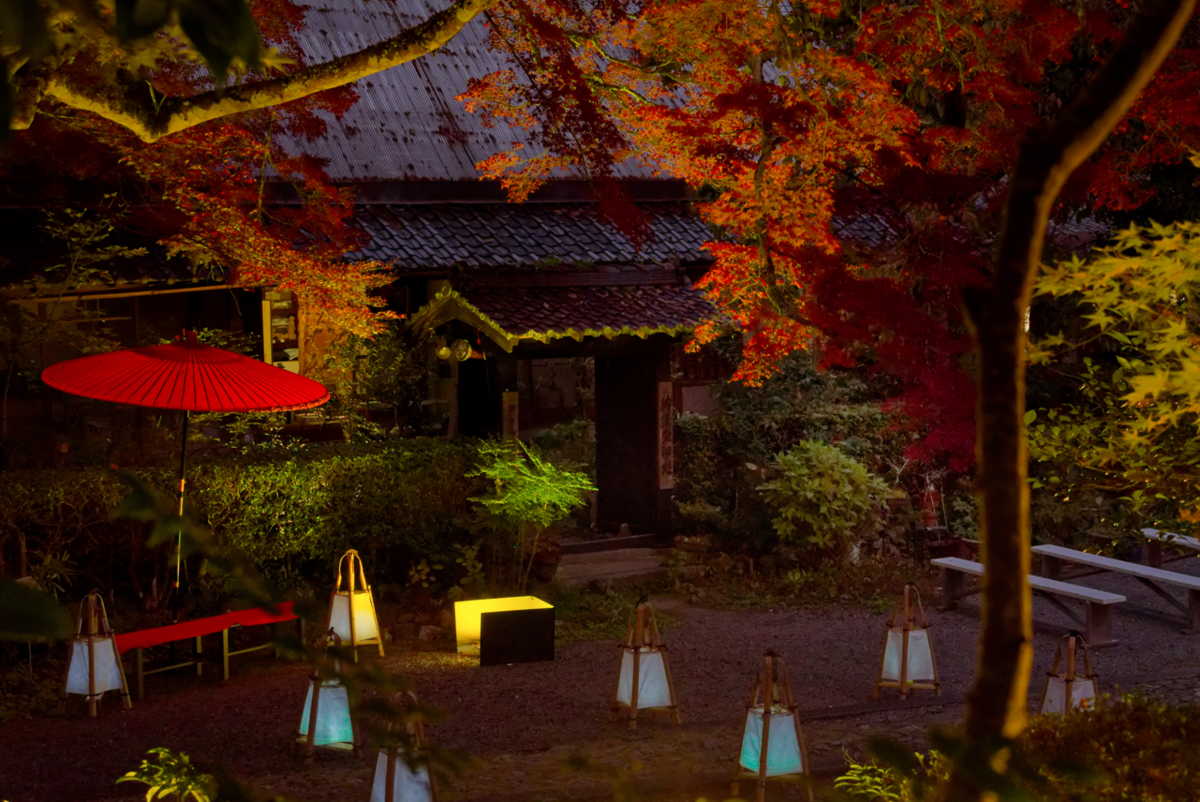 🍁 🍁京都・神蔵寺の紅葉とライトアップが織りなす幻想美!樹齢400年の圧巻イロハモミジ✨ ✨