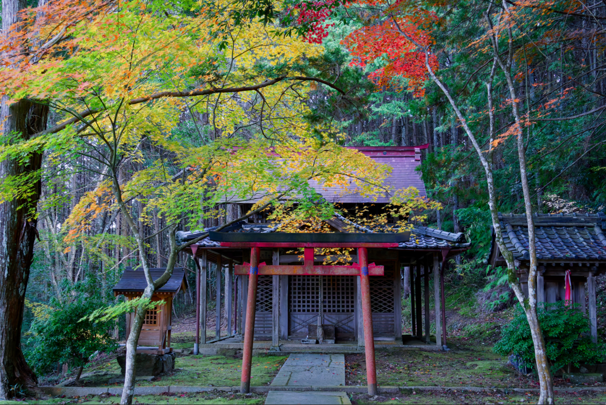 🍁 京都・亀岡市【積善寺】隠れた紅葉の名所で心洗われるひとときを