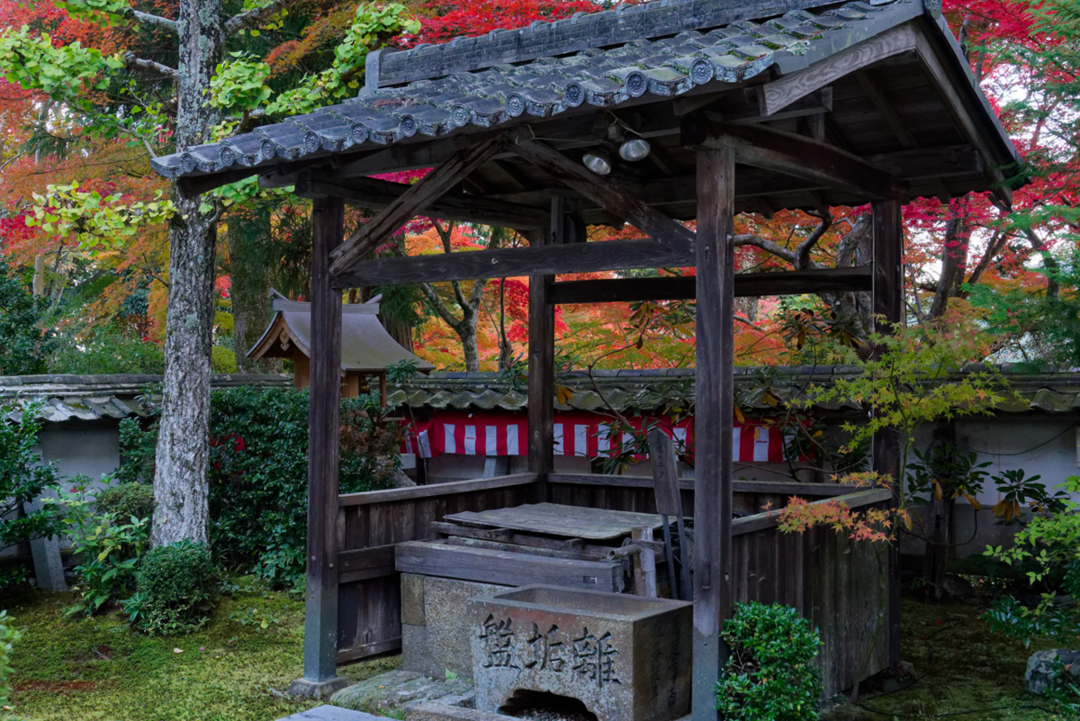 ご依頼ありがとうございます。亀岡市の**秀苗寺（しゅうびょうじ）**の紅葉の魅力を伝えるブログ記事を作成します。  🍁 秀苗寺（しゅうびょうじ）の紅葉：静寂の中に燃える、隠れた名所の美しさ