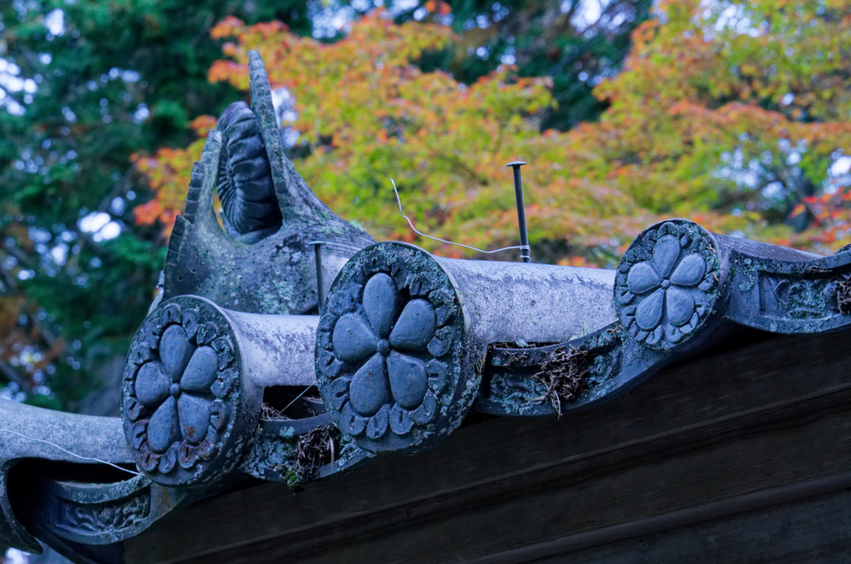 ご依頼ありがとうございます。亀岡市の**秀苗寺（しゅうびょうじ）**の紅葉の魅力を伝えるブログ記事を作成します。  🍁 秀苗寺（しゅうびょうじ）の紅葉：静寂の中に燃える、隠れた名所の美しさ