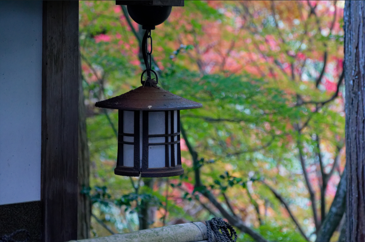 ご依頼ありがとうございます。亀岡市の**秀苗寺（しゅうびょうじ）**の紅葉の魅力を伝えるブログ記事を作成します。  🍁 秀苗寺（しゅうびょうじ）の紅葉：静寂の中に燃える、隠れた名所の美しさ
