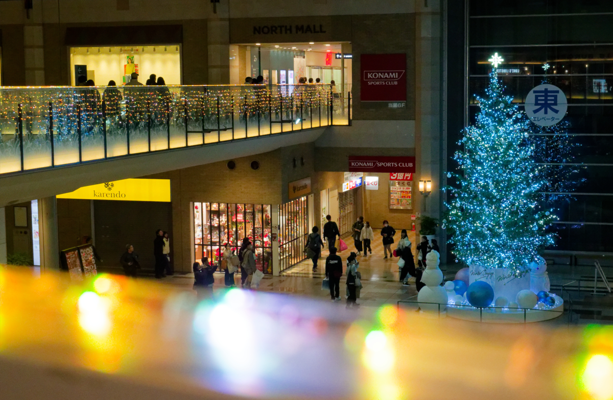 【2025年レポ】愛犬と巡る神戸ハーバーランドumieのクリスマス!青い光の街「KOBE UMIAKARI」に包まれて
