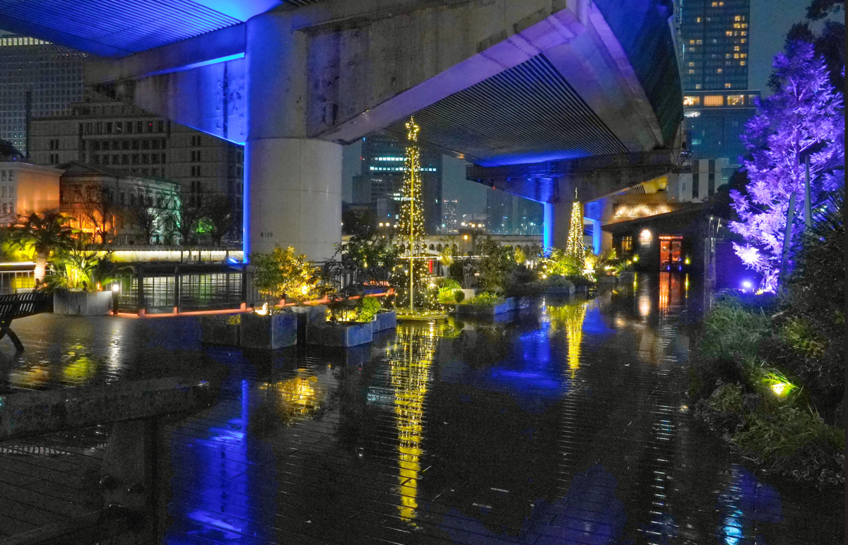 雨が紡ぐ光の魔法。淀屋橋・中之島イルミネーションを最新のα7Vで撮り歩く✨✨