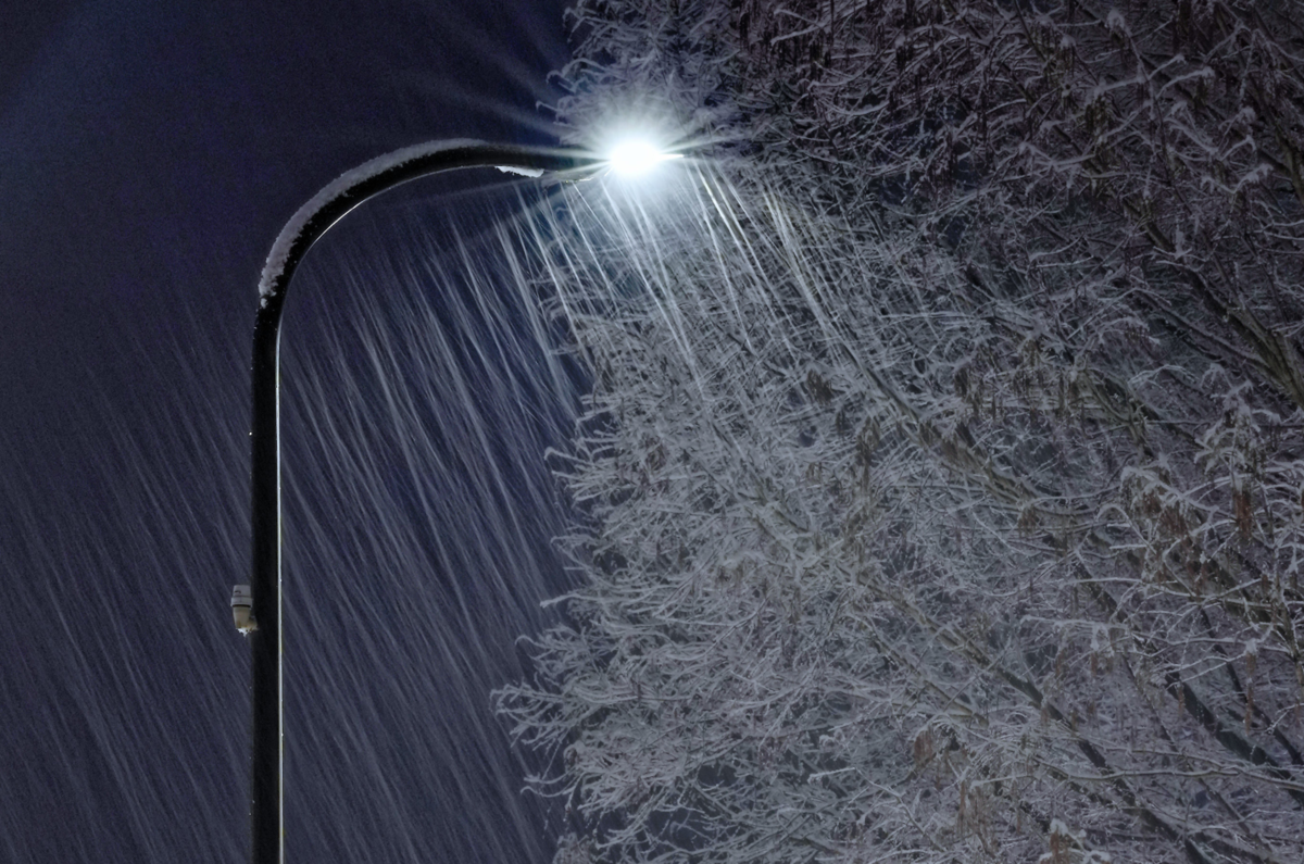 【滋賀・マキノ】真夜中の白銀世界。雪のメタセコイア並木が幻想的すぎた