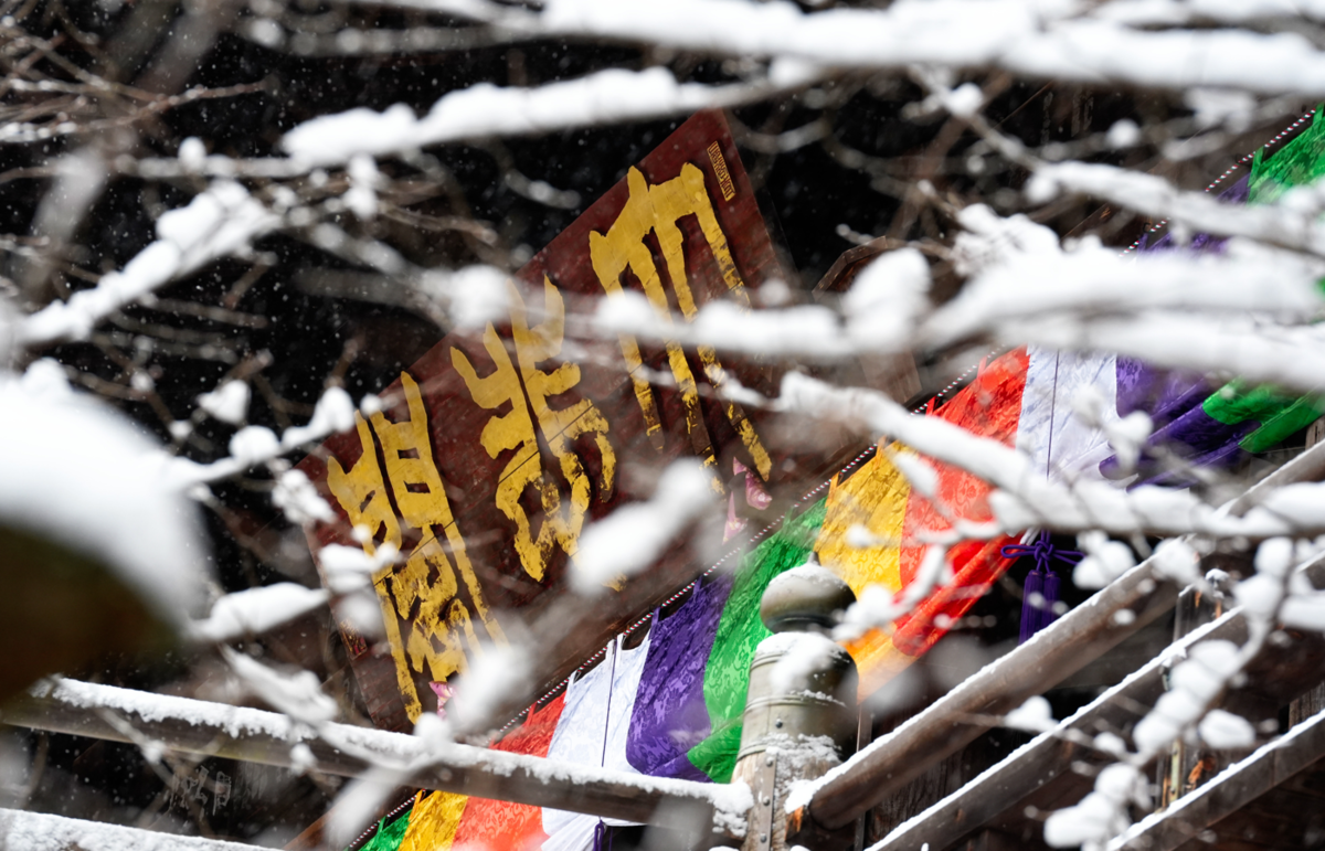雪降る「花の御寺」へ。奈良・長谷寺で出会った冬の絶景