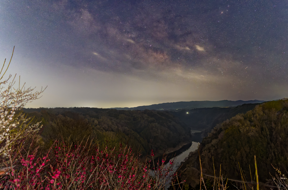 【月ヶ瀬梅林】夕焼けから天の川、そして朝露へ。幻想的な梅の香りに包まれて