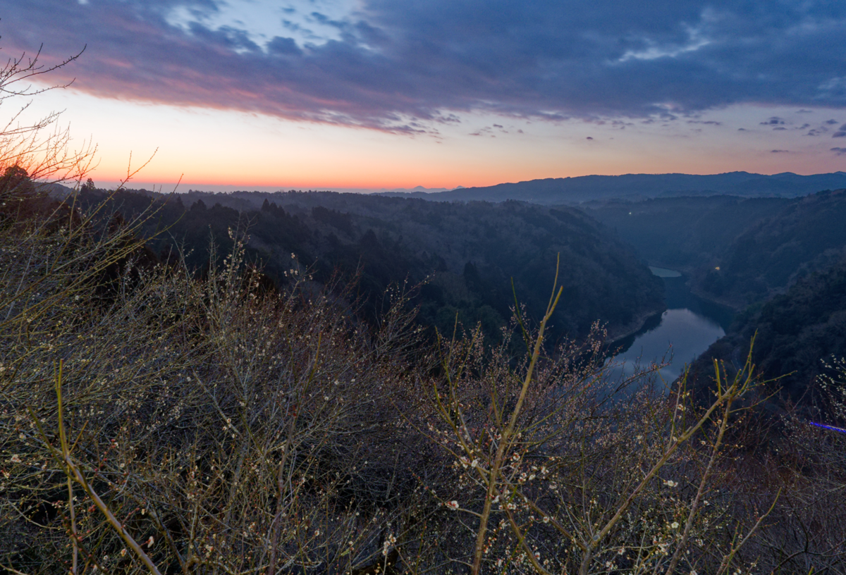 【月ヶ瀬梅林】夕焼けから天の川、そして朝露へ。幻想的な梅の香りに包まれて