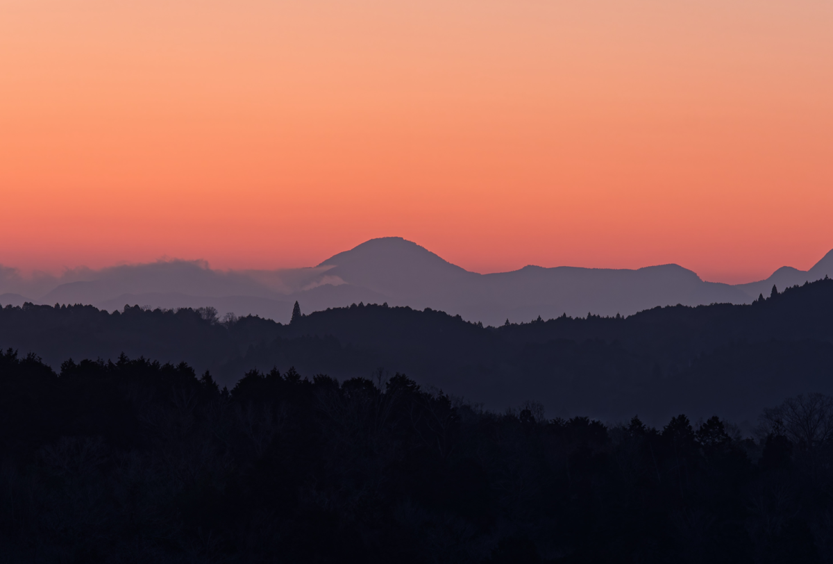 【月ヶ瀬梅林】夕焼けから天の川、そして朝露へ。幻想的な梅の香りに包まれて