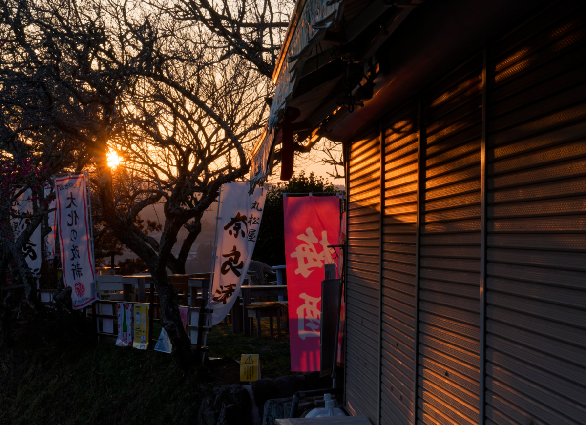 【月ヶ瀬梅林】夕焼けから天の川、そして朝露へ。幻想的な梅の香りに包まれて