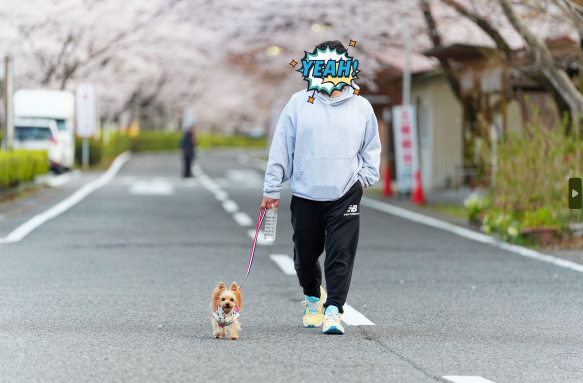 桜のトンネルに包まれて。下北山スポーツ公園で過ごす最高の春の休日