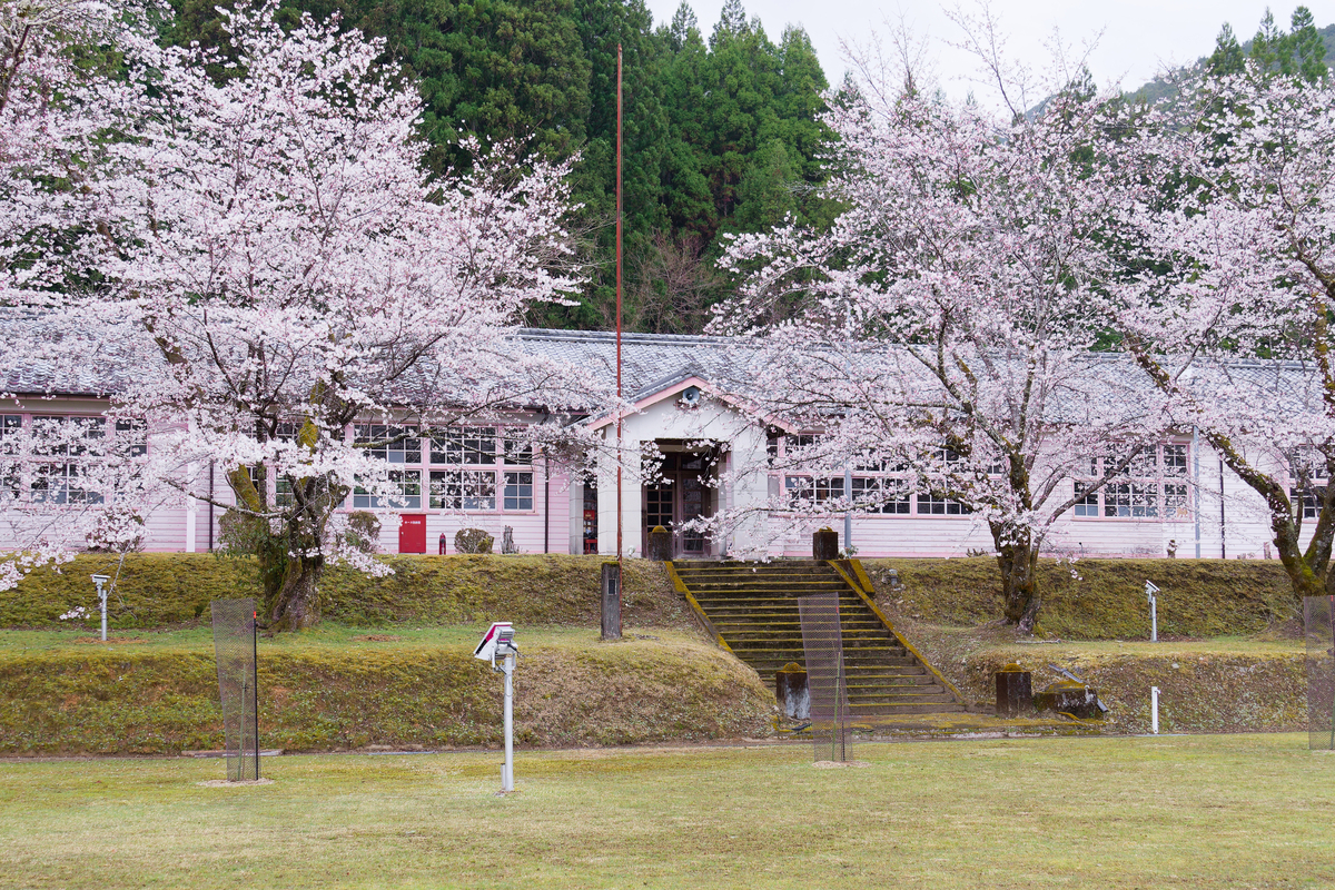 🌸 桜とピンクの校舎が紡ぐ、春の忘れもの｜旧神上中学校