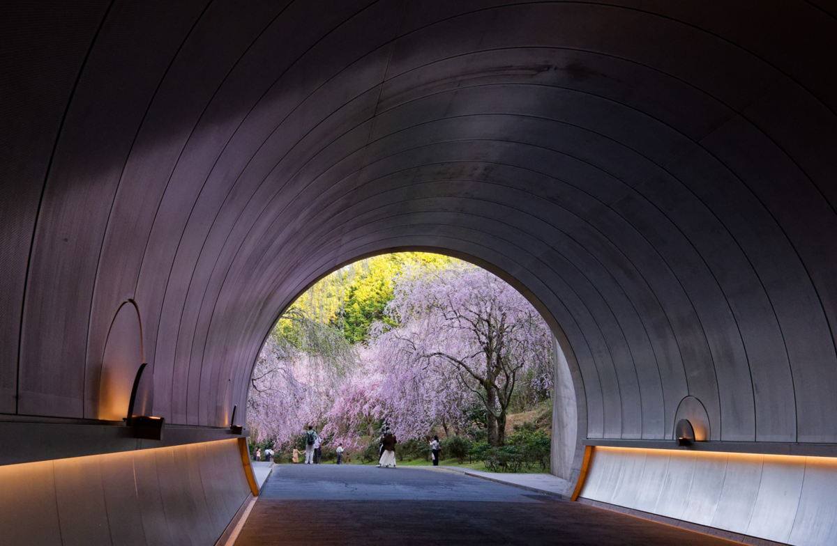銀壁に染まる桜色🌸。MIHO MUSEUMで狙う究極のトンネル・リフレクション