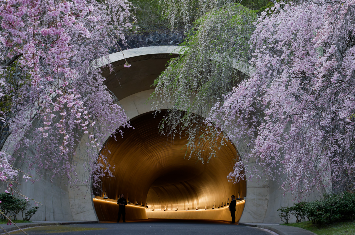 銀壁に染まる桜色🌸。MIHO MUSEUMで狙う究極のトンネル・リフレクション