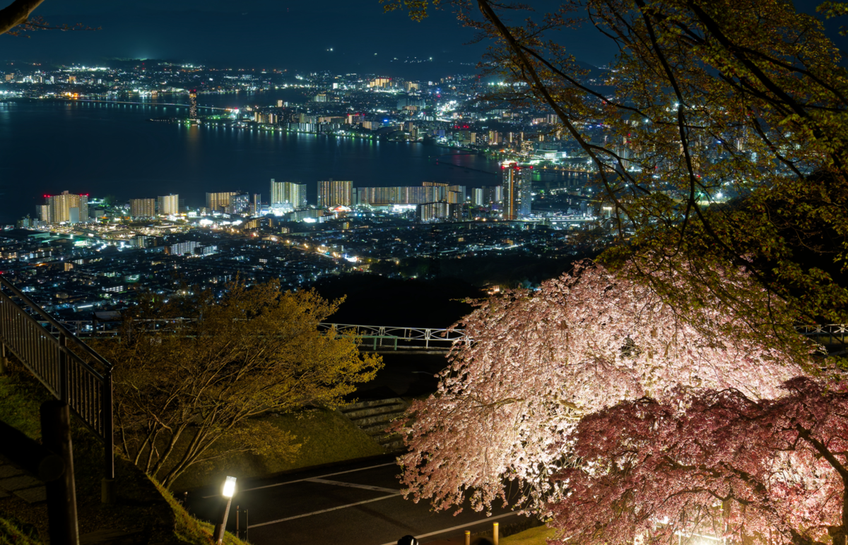 夢見が丘展望台、光と花の幻想：夜桜🌸観賞記