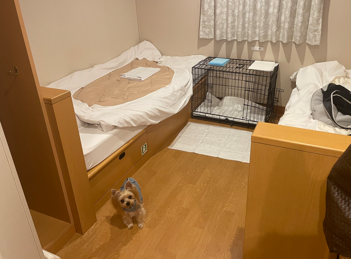 関西から北海道へ！愛犬🐾と楽しむ「新日本海フェリー　けやき」新造船の船旅