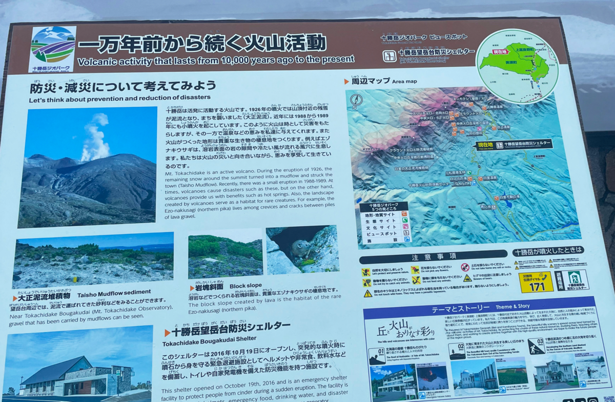 美瑛・富良野 愛犬と観光 青い池、白ひげの滝、十勝岳望岳台、新栄の丘、ジェットコースターの路