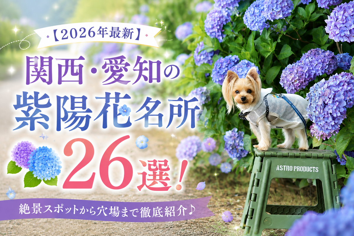 【2026年最新】関西・愛知の紫陽花名所26選!愛犬と散歩情報も