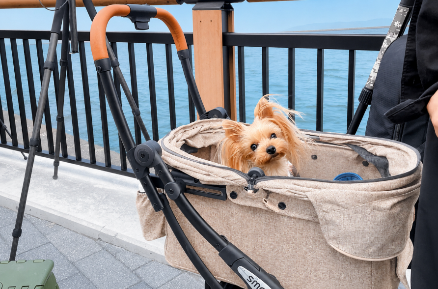 【愛犬とお出かけ】ハプニングも最高の思い出に！六甲アイランドから狙う大阪ベイスカイルミナ（ドローン＆花火ショー）