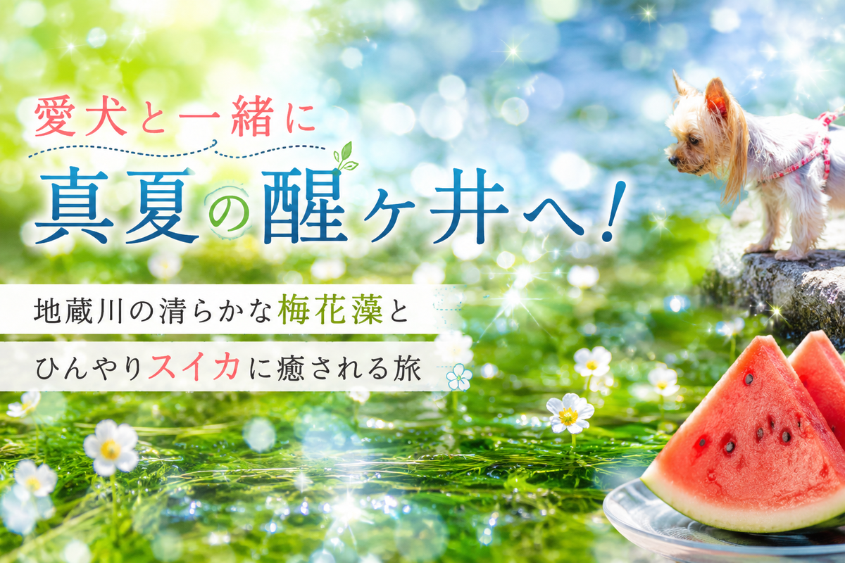 愛犬と一緒に真夏の醒ヶ井へ！地蔵川の清らかな梅花藻とひんやりスイカに癒される旅 