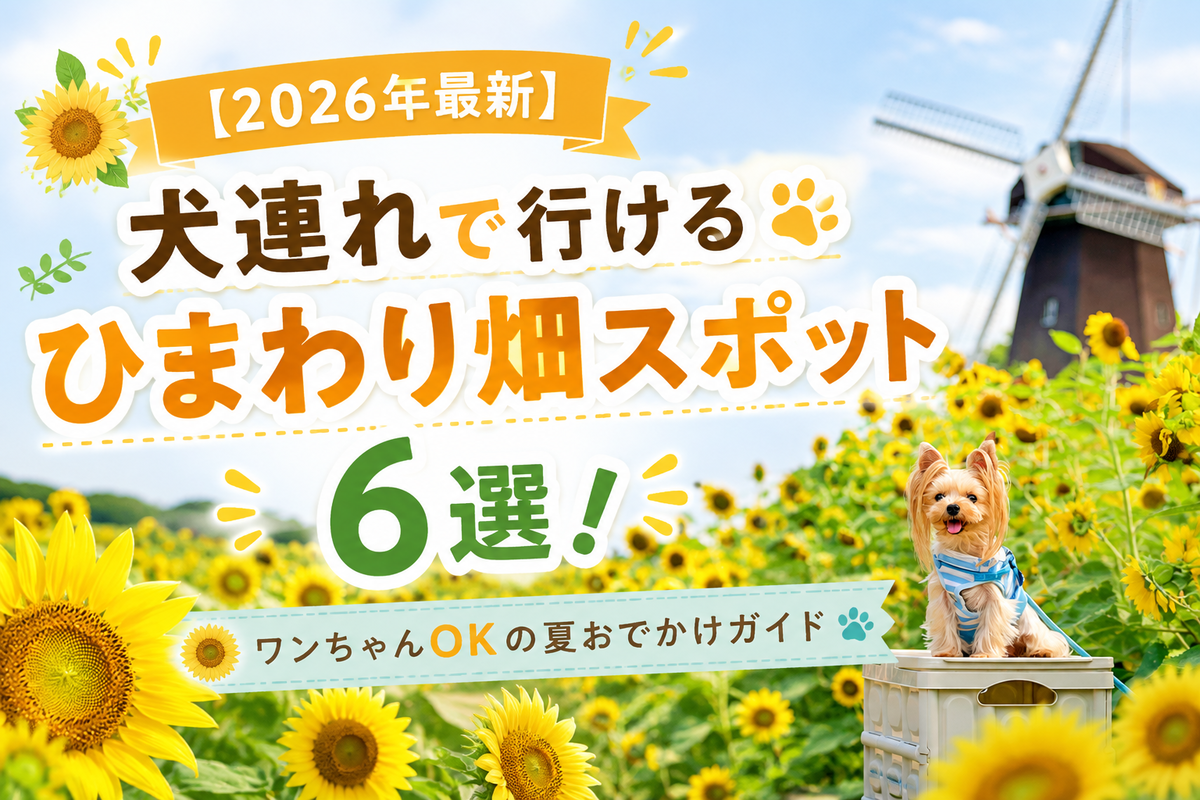【2026年最新】犬連れで行けるひまわり畑スポット6選！ワンちゃんOKの夏おでかけガイド