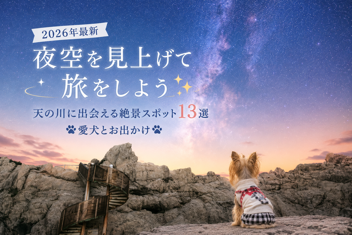 【2026年最新】夜空を見上げて旅をしよう✨天の川に出会える絶景スポット１４選🐾愛犬とお出かけ🐾