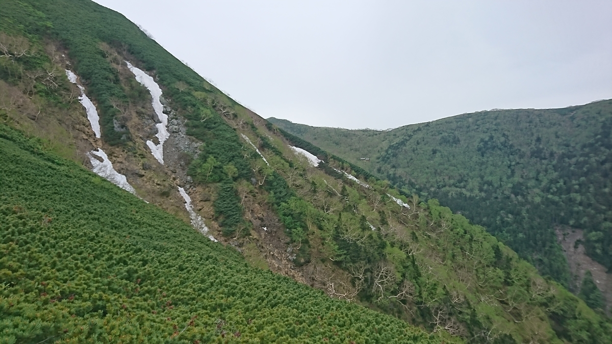 f:id:fluit_sumisumi:20190705154406j:plain