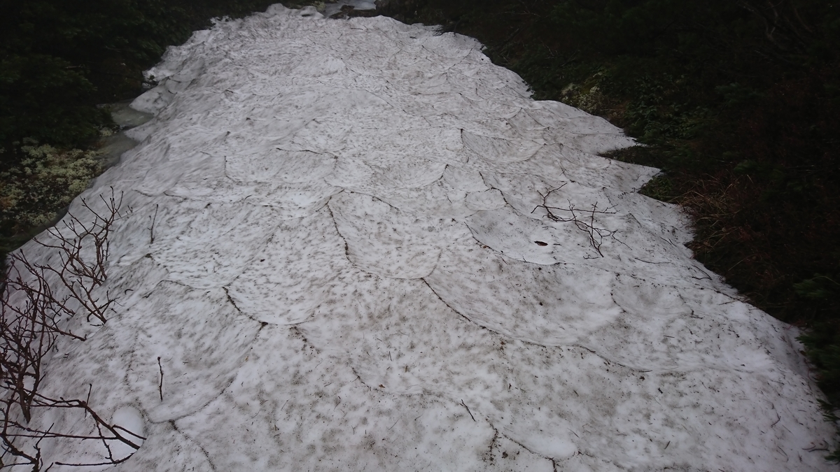 f:id:fluit_sumisumi:20190705155848j:plain