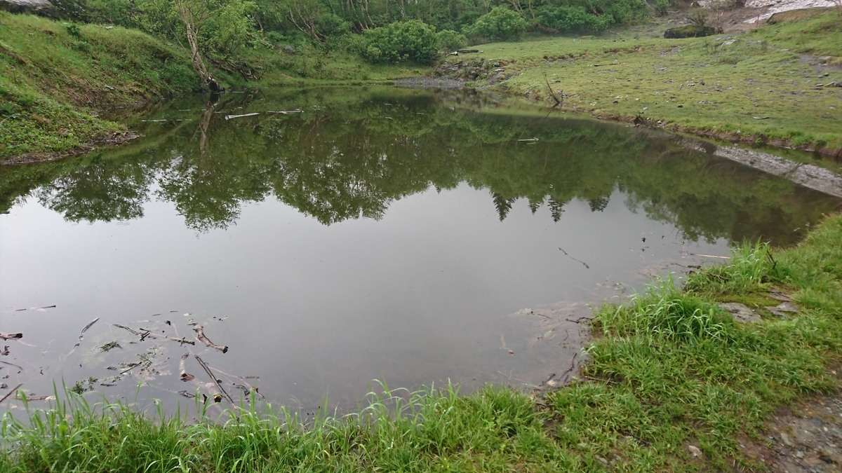 f:id:fluit_sumisumi:20190705164011j:plain