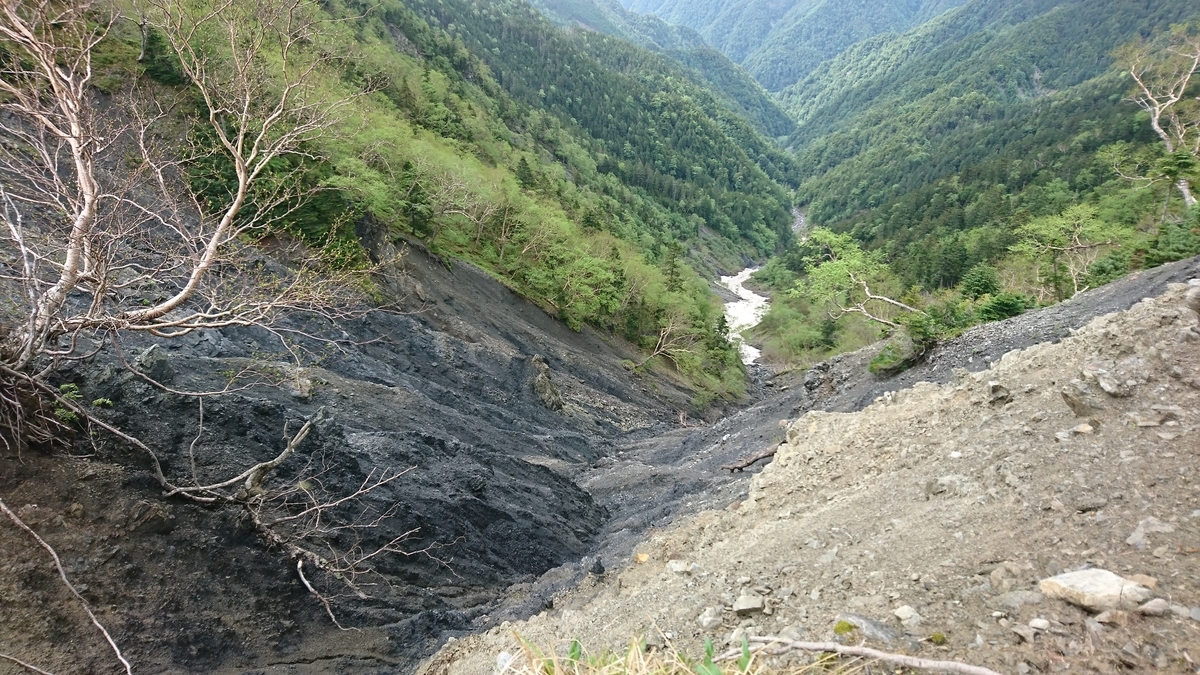 f:id:fluit_sumisumi:20190705164036j:plain