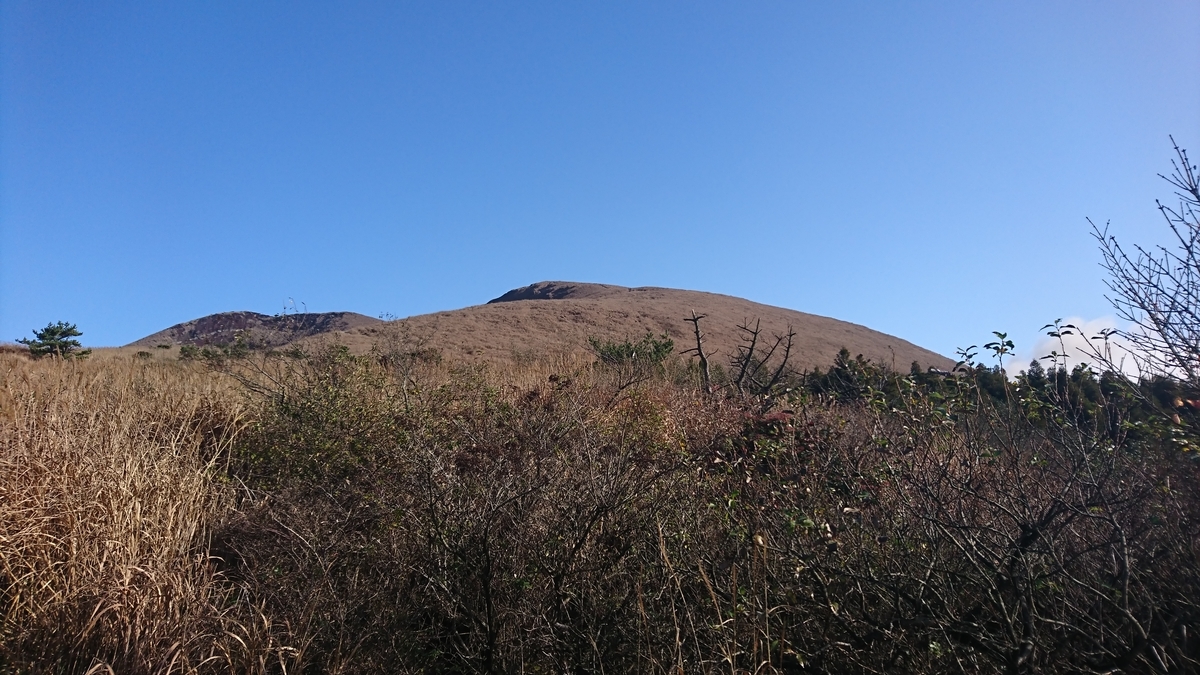 f:id:fluit_sumisumi:20191128170840j:plain