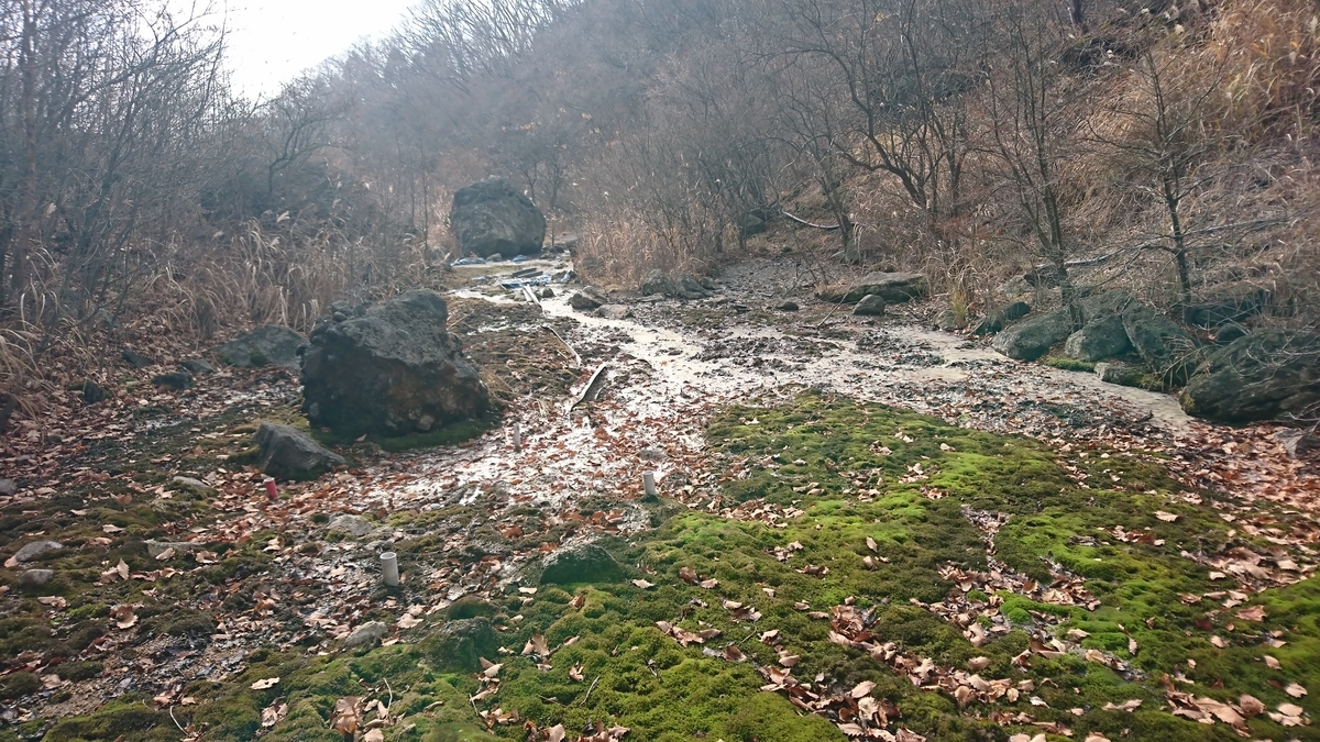 f:id:fluit_sumisumi:20191128172302j:plain