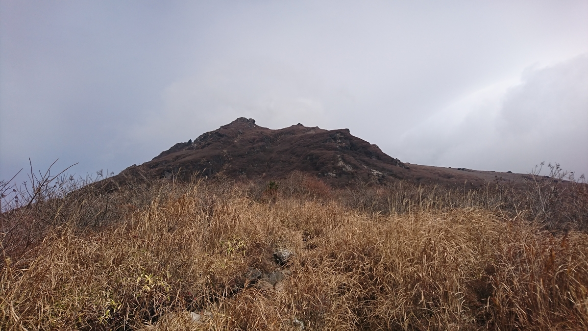 f:id:fluit_sumisumi:20191128172306j:plain