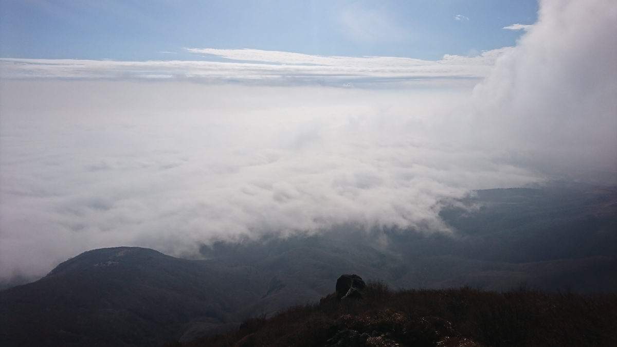 f:id:fluit_sumisumi:20191128172316j:plain