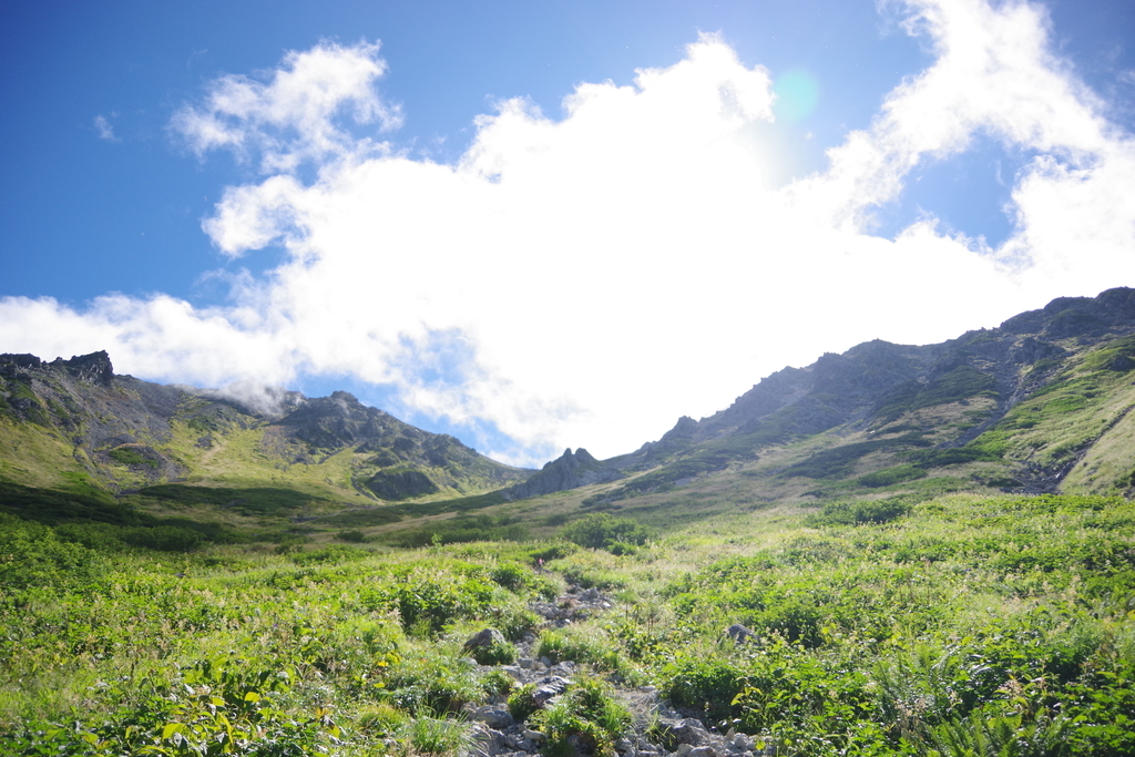 f:id:flum0827:20180912191924j:plain