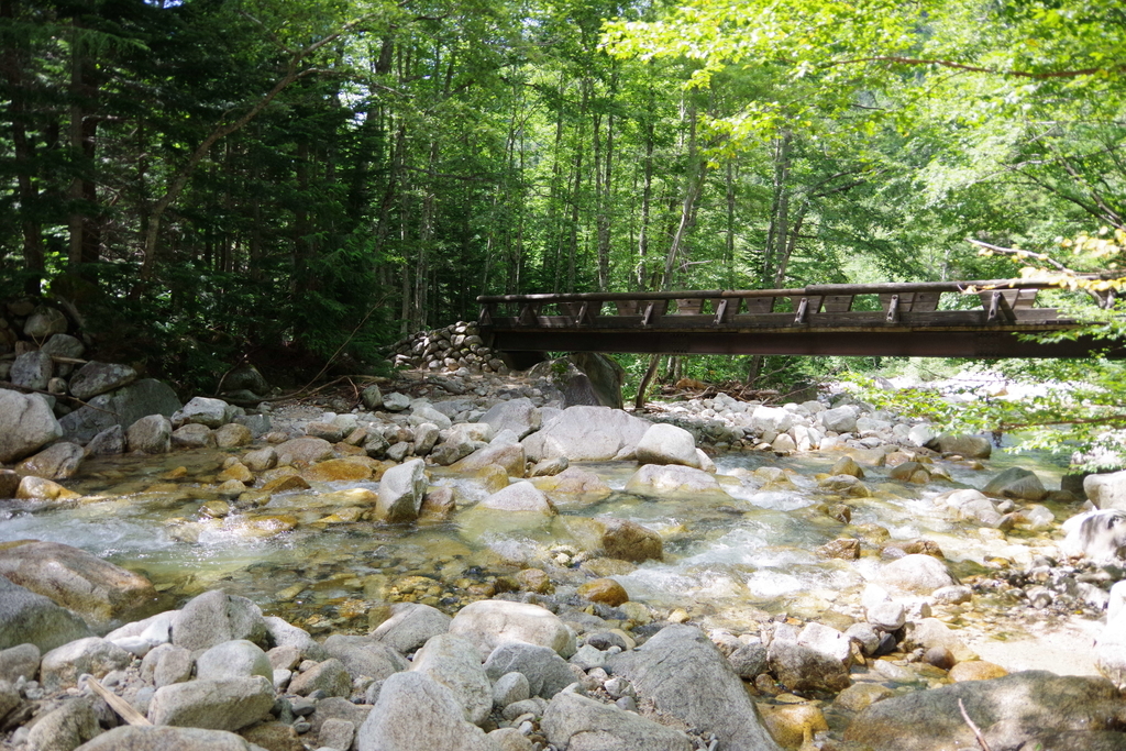 f:id:flum0827:20180912201239j:plain