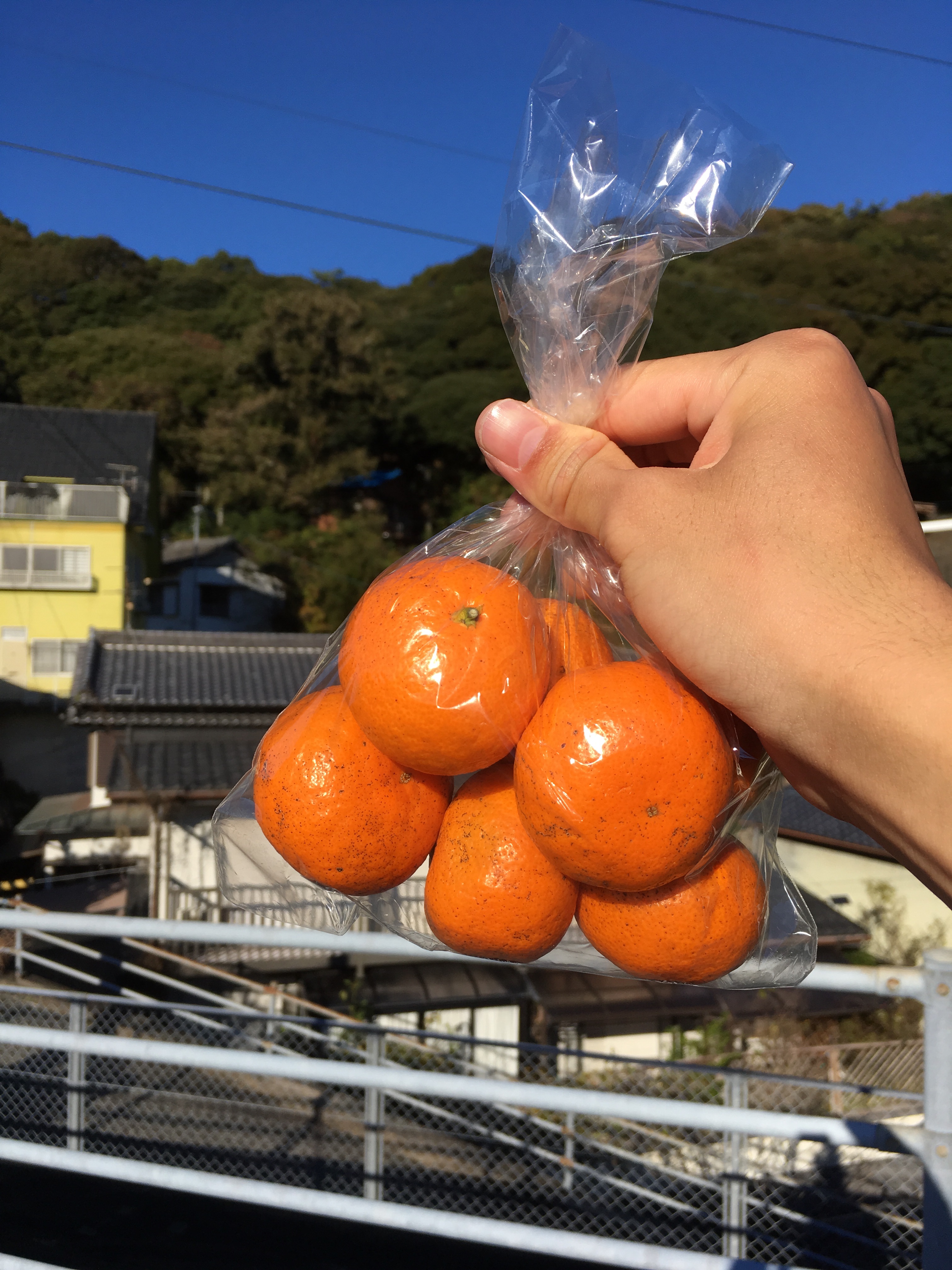 f:id:flum0827:20181128154820j:image