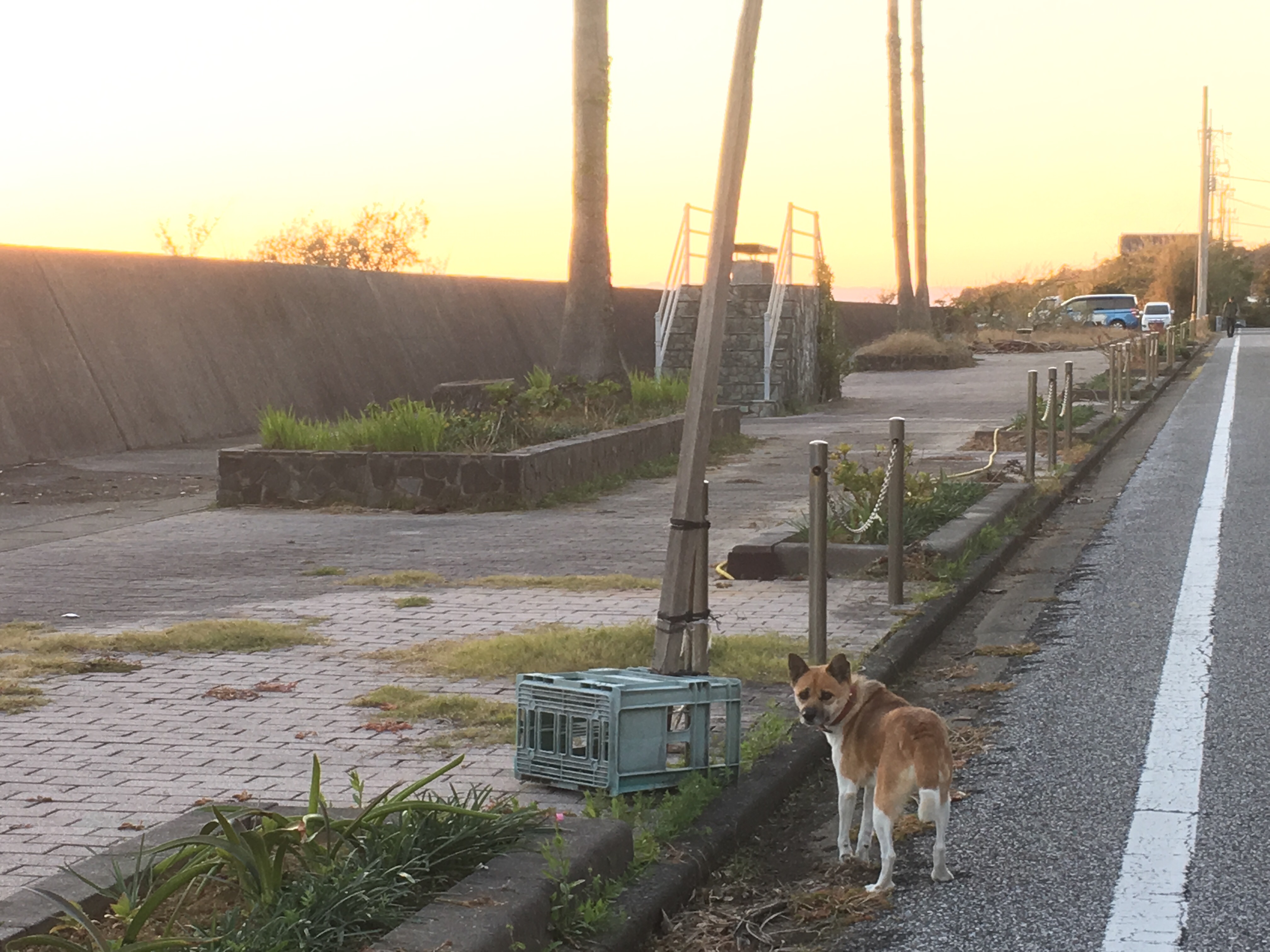 f:id:flum0827:20181128154900j:image
