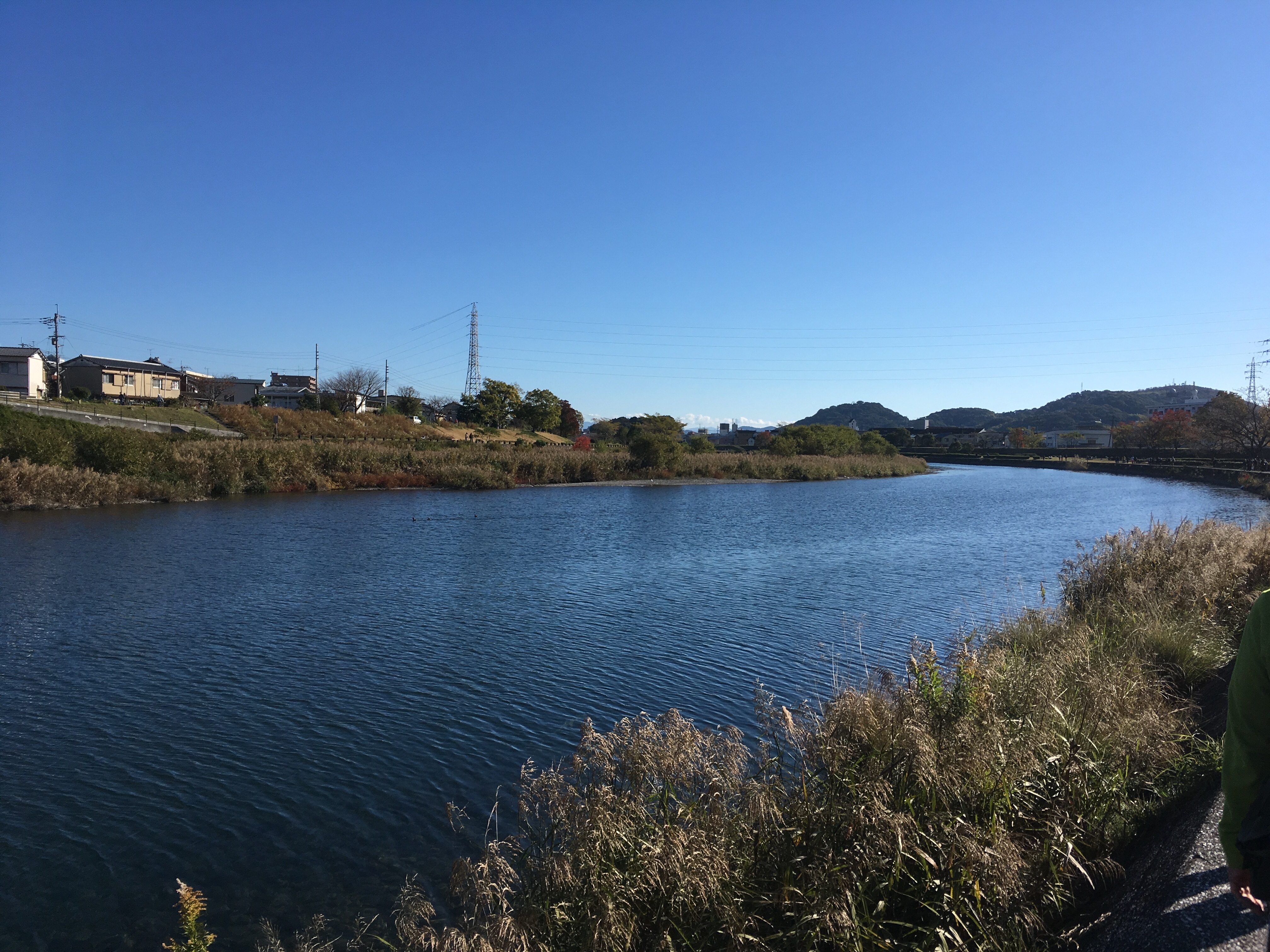 f:id:flum0827:20181128154924j:image
