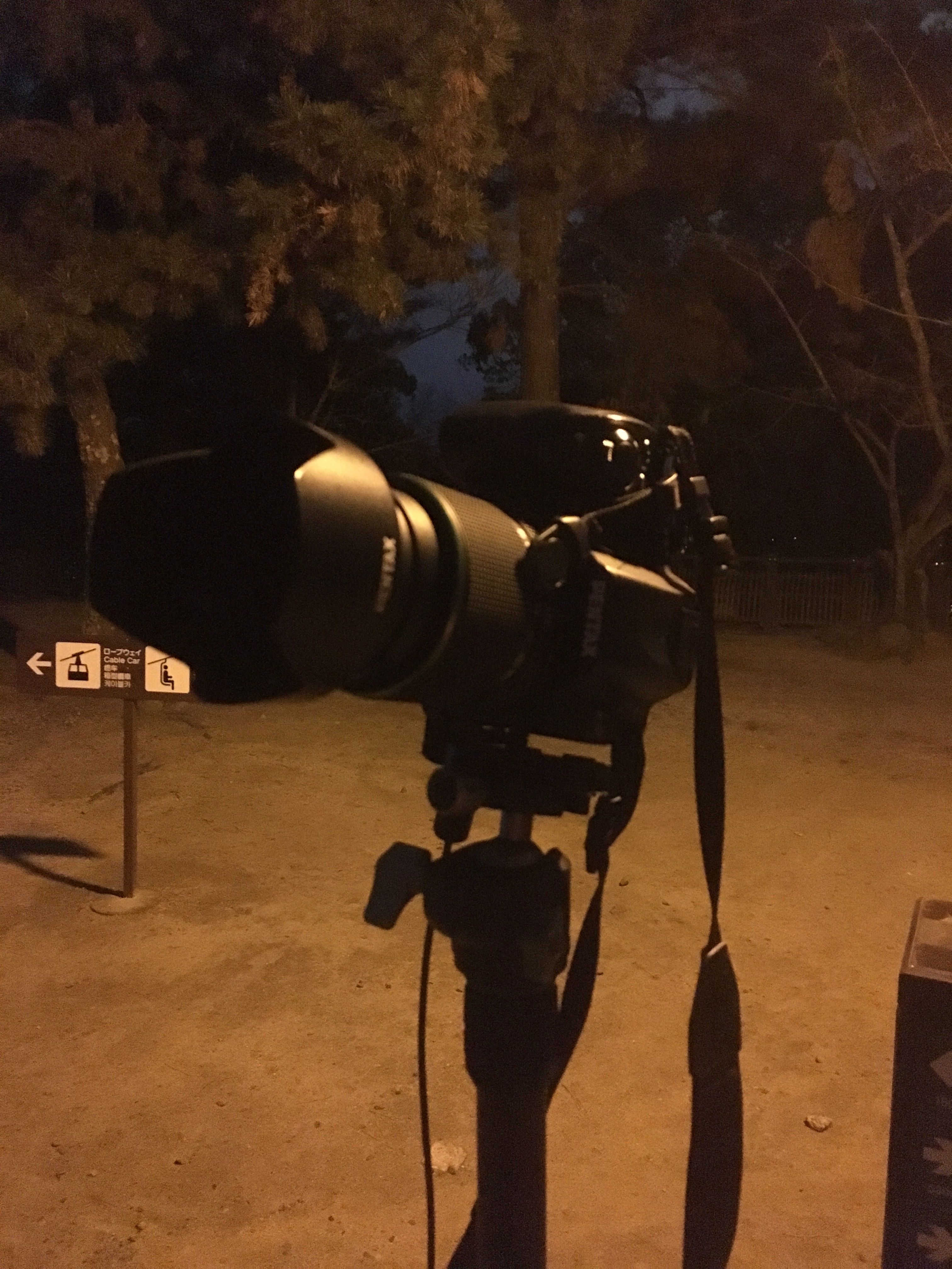f:id:flum0827:20190212223959j:image