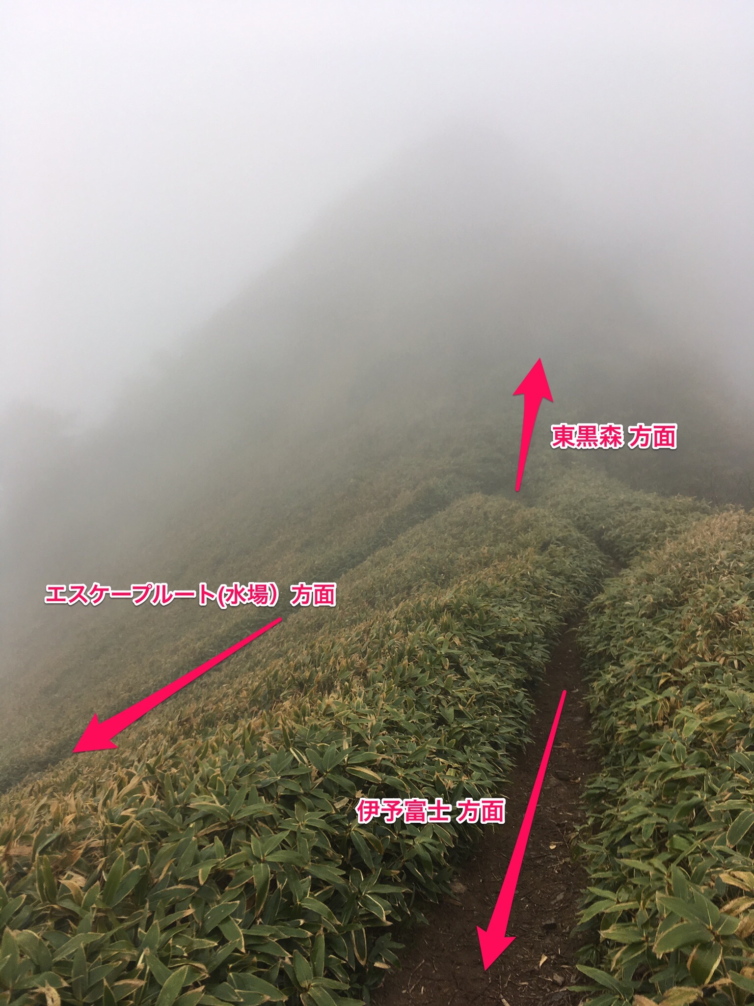 f:id:flum0827:20190529151517j:image