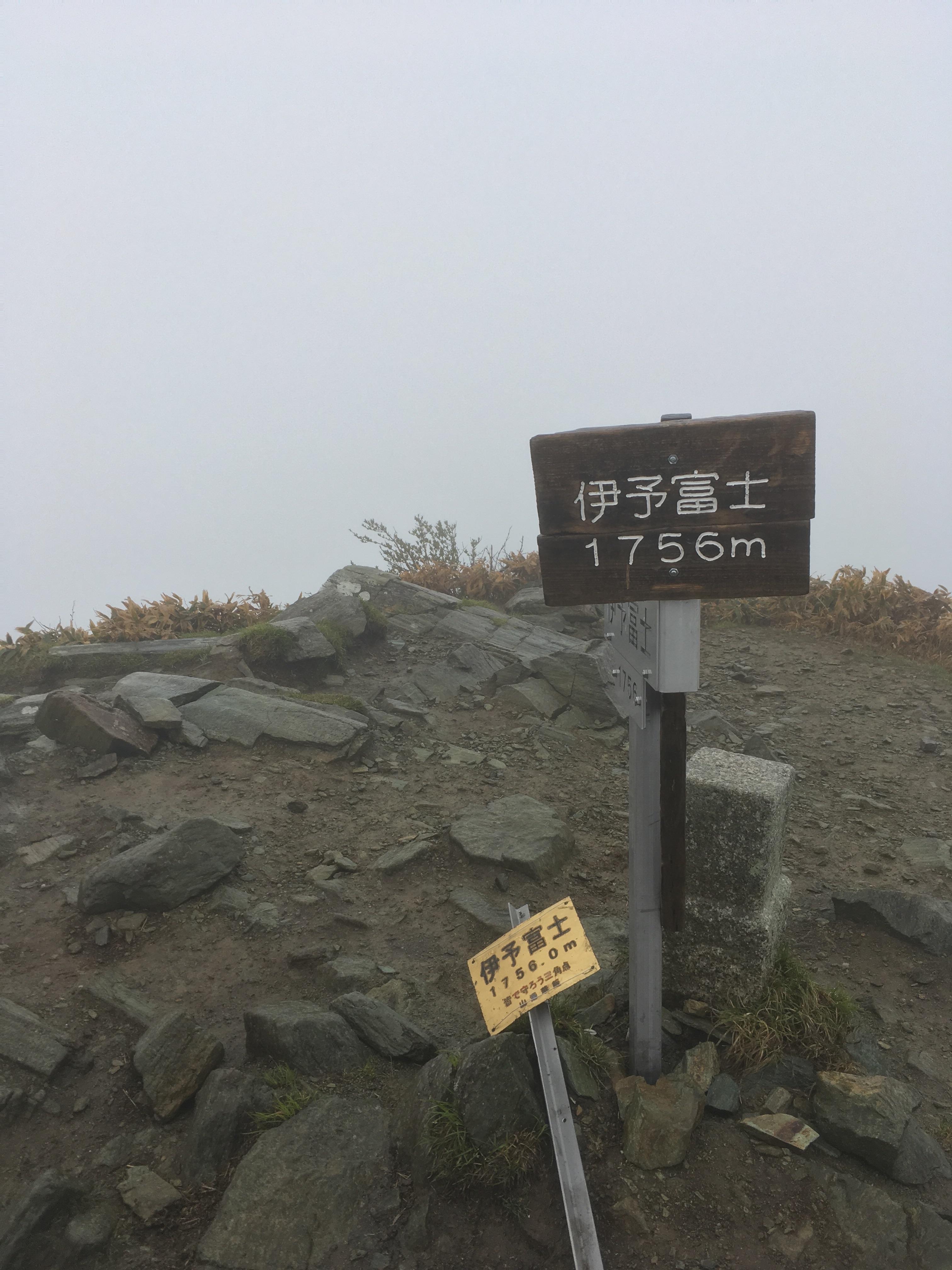 f:id:flum0827:20190531173236j:image