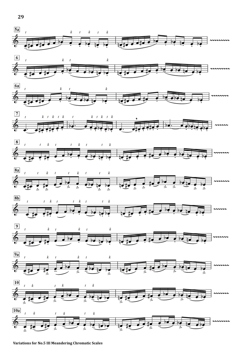 Daily Exercises No.5III Meandering Chromatic Scales フルート上達の秘伝