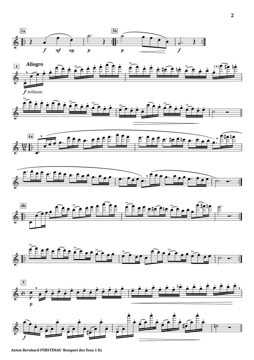 Furstenau Bouquet des Tons No.1 フルート上達の秘伝